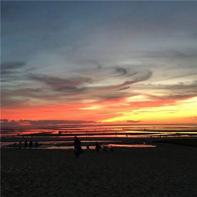 lm体育官网下载截图